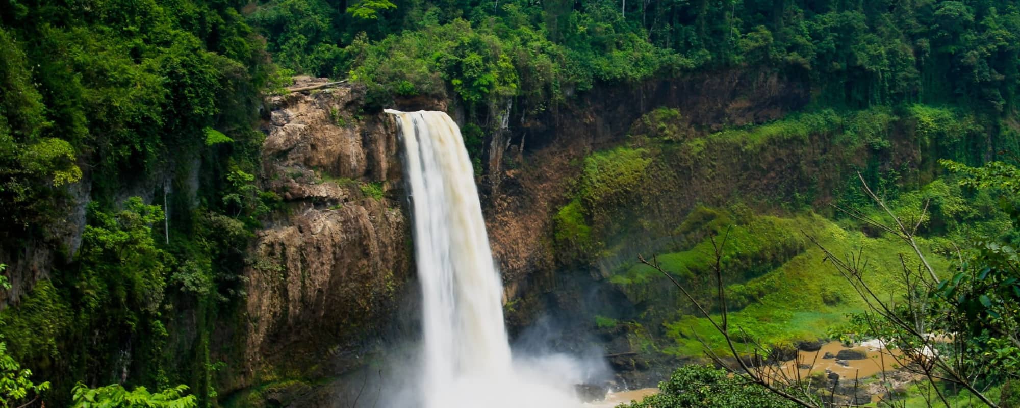 Waterfall in a dense rainforest, cascading down a rocky cliff surrounded by lush greenery.