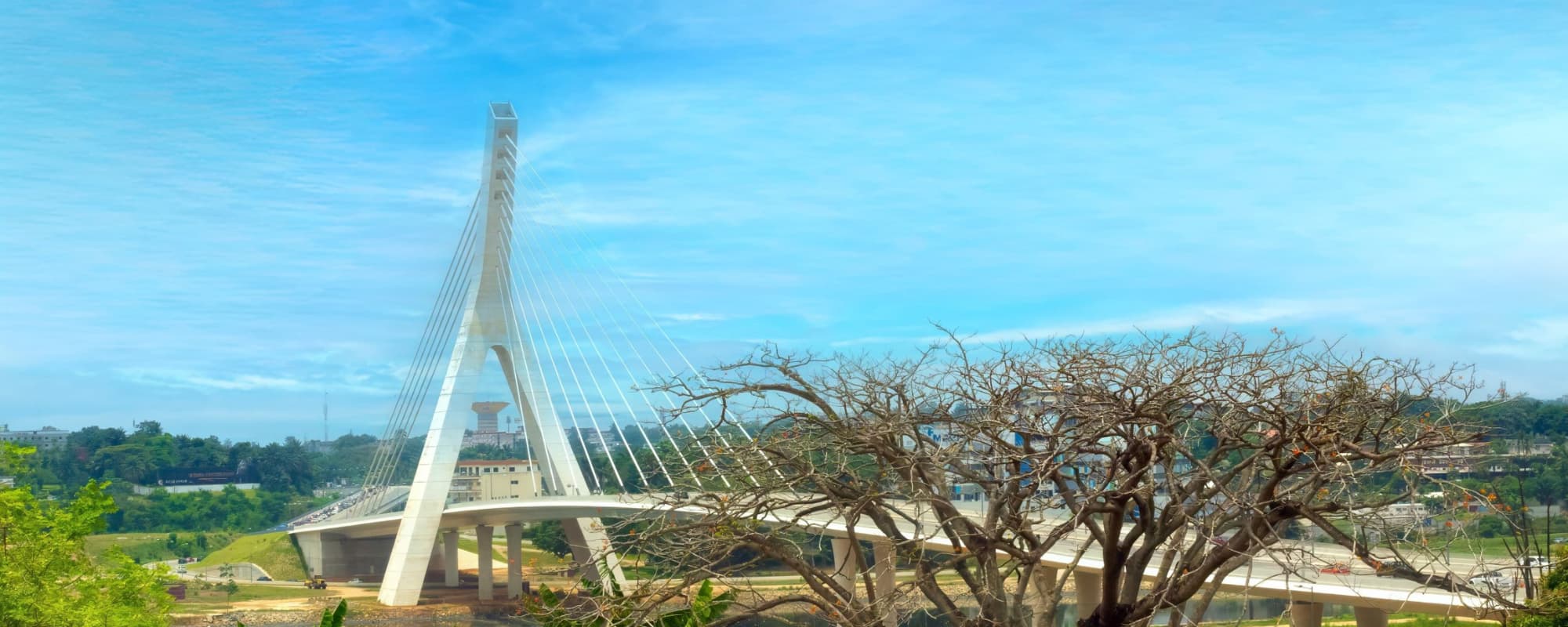 A cable-stayed bridge against a blue sky with clouds and leafless trees in the foreground.