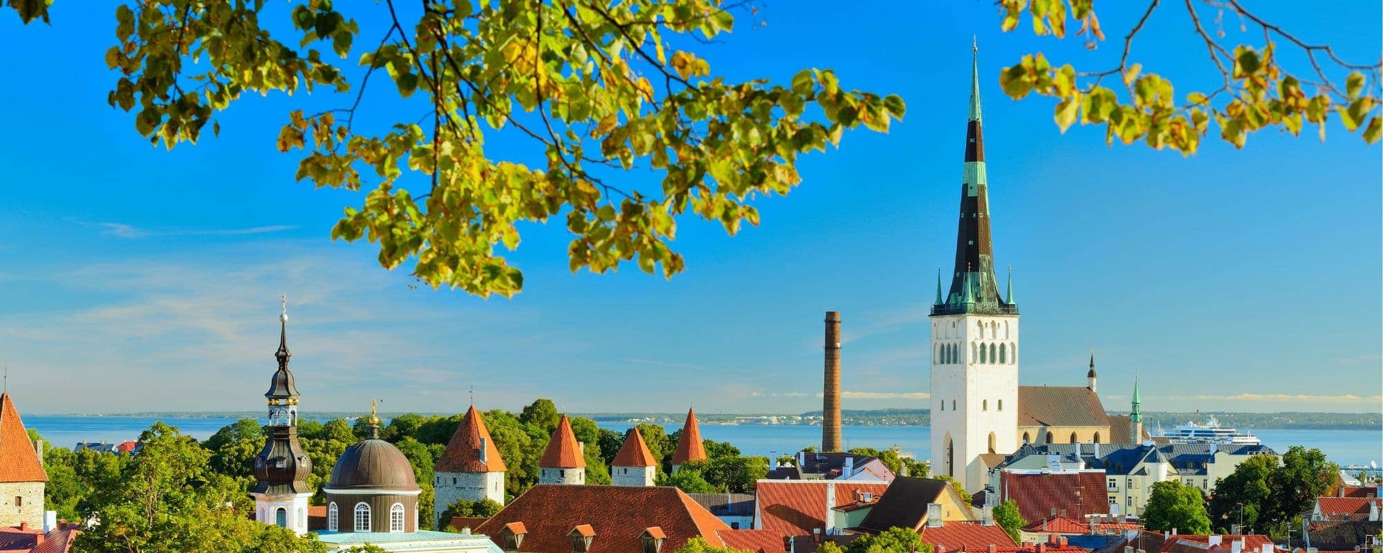View of Tallinn, Estonia, with medieval buildings and St. Olaf’s Church spire against a blue sky and Baltic Sea in the background.