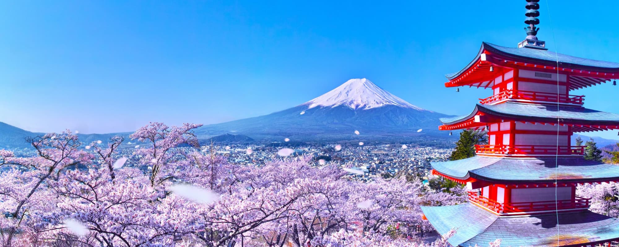 A five-tiered pagoda with cherry blossoms and Mount Fuji in the background.