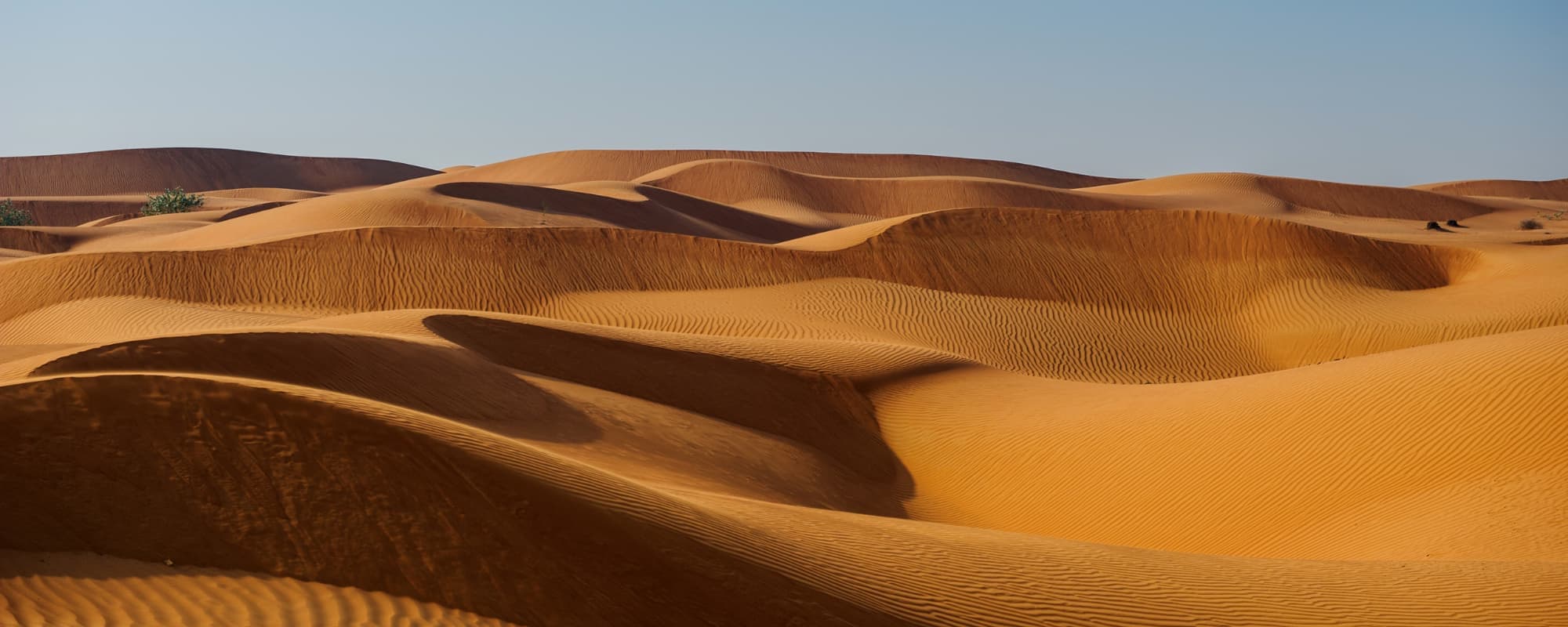 Desert landscape with undulating sand dunes and a clear blue sky.